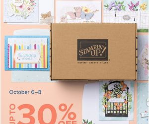 Kits Collection Sale