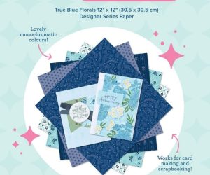 Product of the Month - December 2025