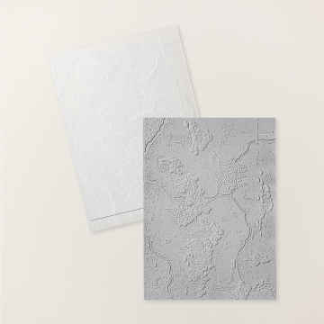 Hundred Acre Woods Embossing Folder
