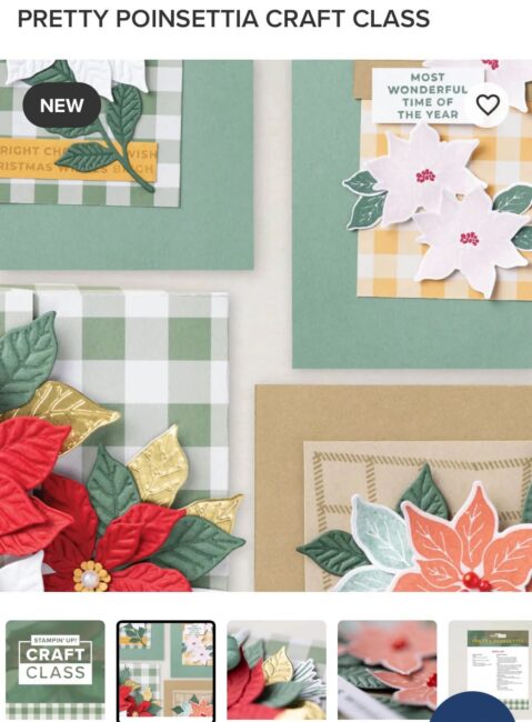 Pretty Poinsettia Craft Class