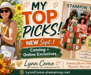 Top Picks for Sept/Dec 2026 Catalog & Online Exc.