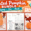 Painted Pumkin Video